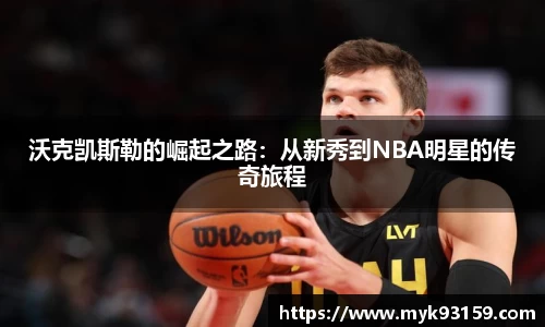 bsports官网