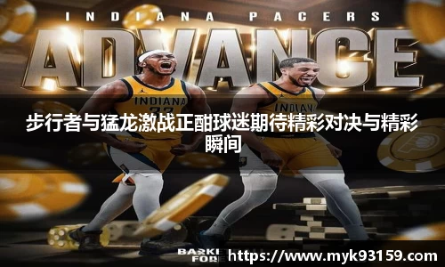 B体育bsports