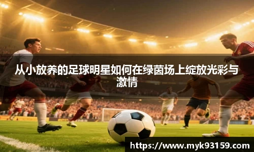 bsports官网